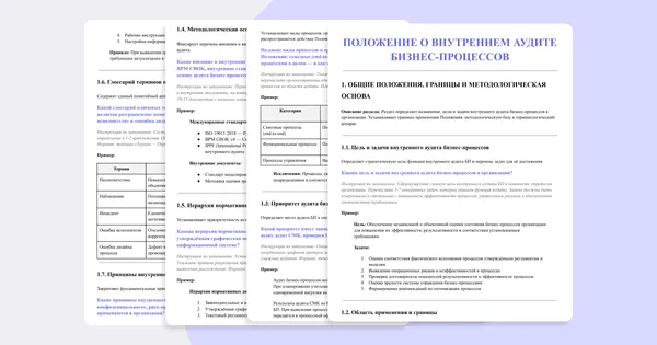 Положение о внутреннем аудите бизнес-процессов компании