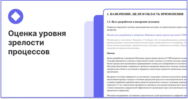 Методика оценки уровня зрелости бизнес-процессов