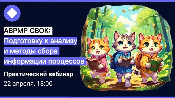 Книжный клуб ABPMP CBOK: Подготовка к анализу | 5.5-5.6