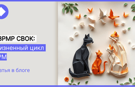 BPM CBOK. Жизненный цикл BPM